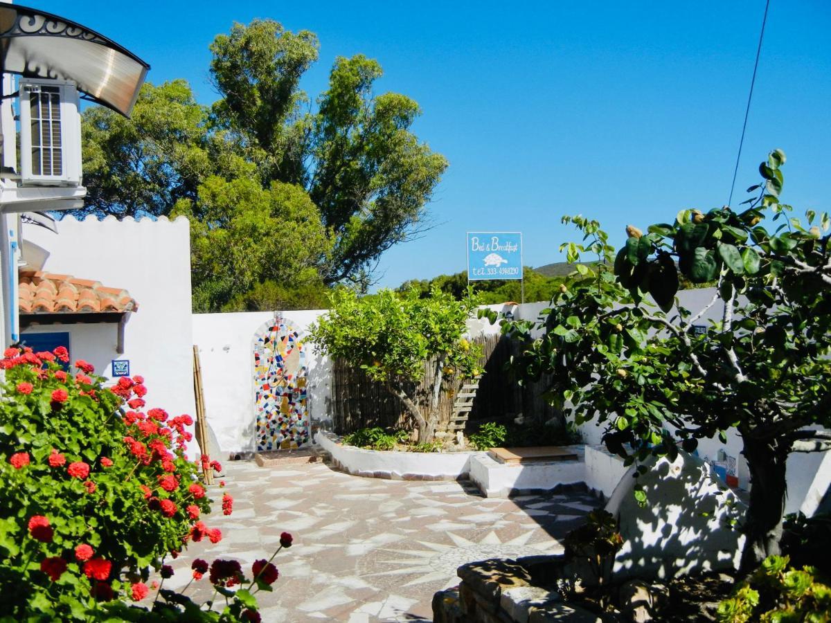 Alba Bed & Breakfast