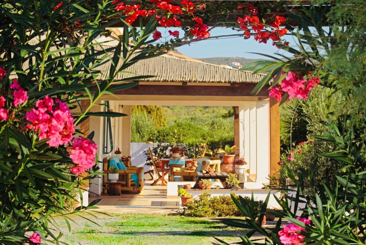 Bed & Breakfast Alba